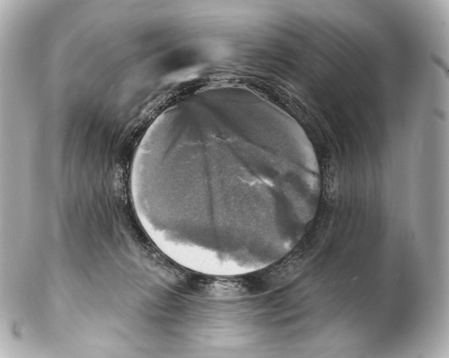 X0000102410270200808291514