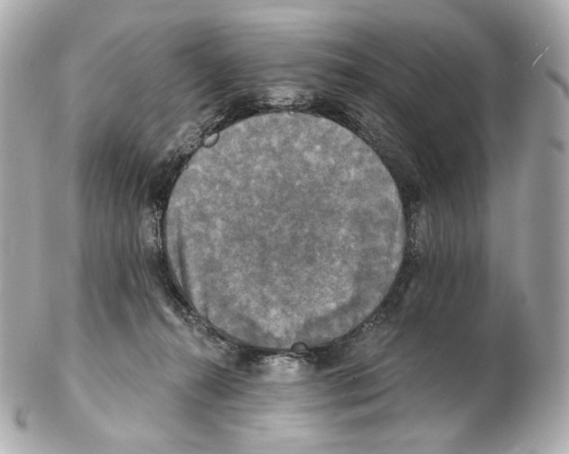 X0000102410272200808291514