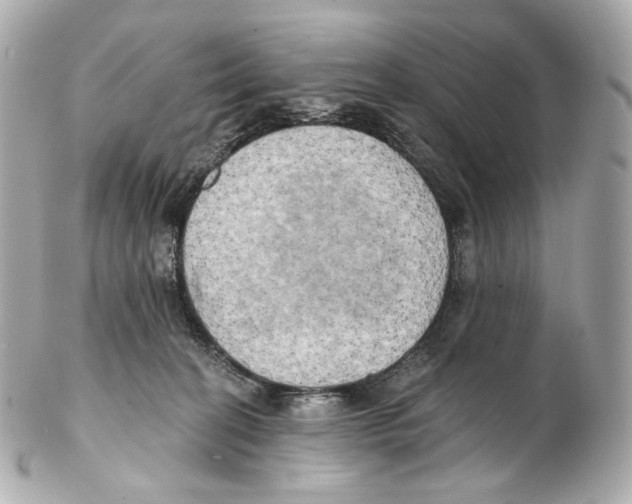 X0000102410274200808291514