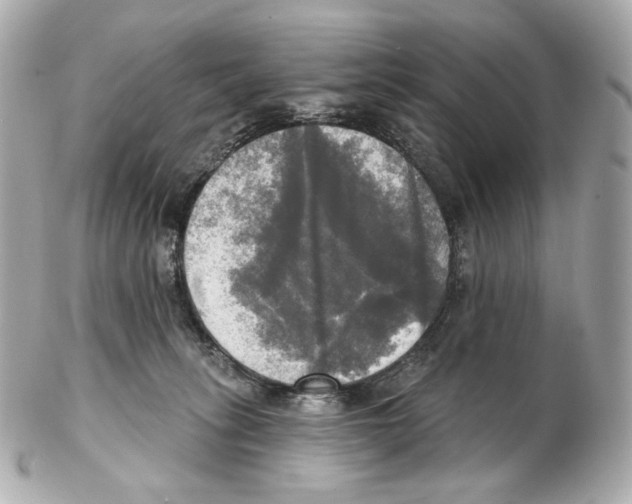 X0000102410275200808291514