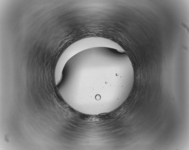 X0000102410276200808291514