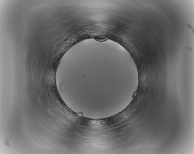 X0000102410277200808291514