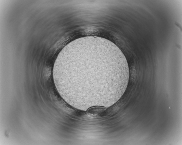 X0000102410278200808291514