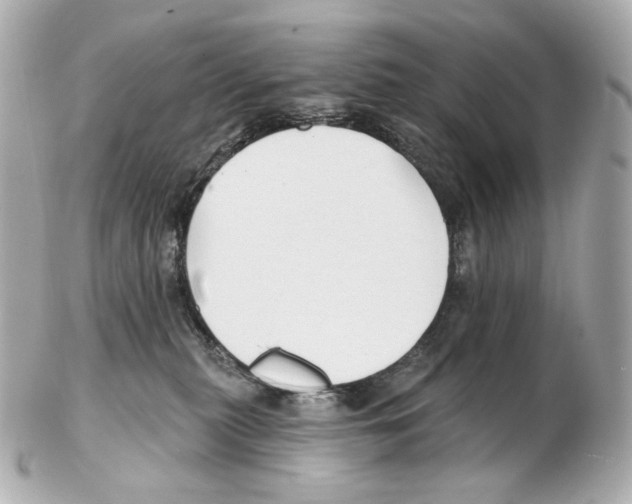 X0000102410279200808291514