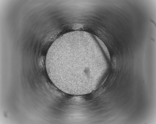 X0000102410280200808291514