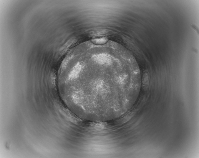 X0000102410282200808291514