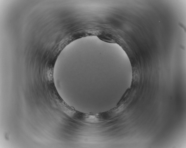 X0000102410285200808291515