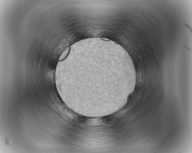 X0000102410286200808291515