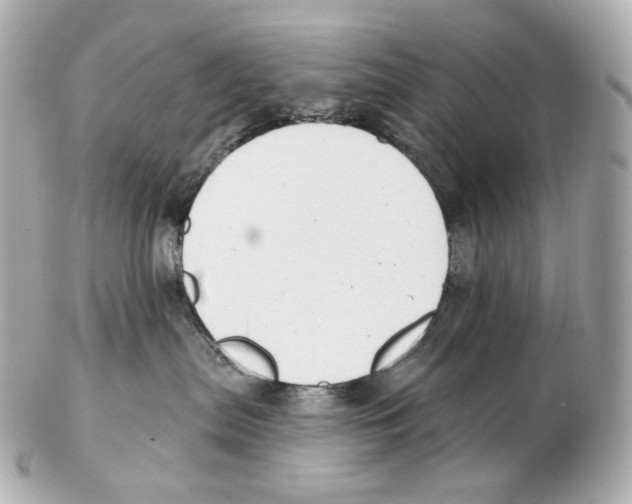 X0000102410287200808291515