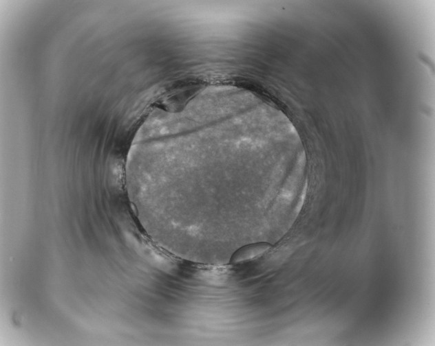 X0000102410288200808291515