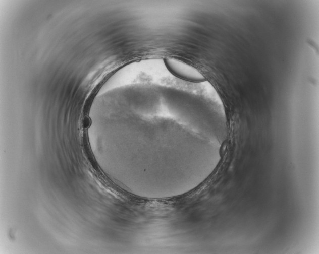 X0000102410290200808291514