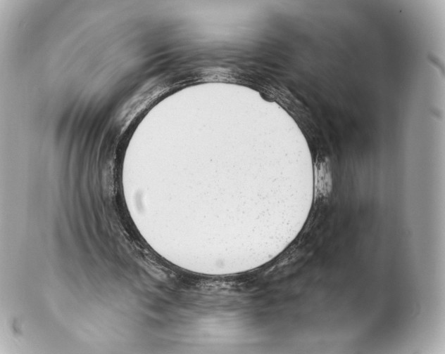 X0000102410291200808291514