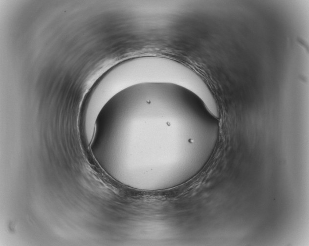 X0000102410292200808291514