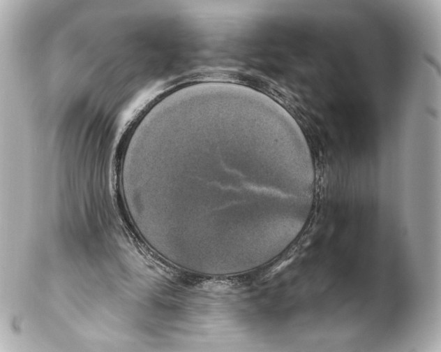 X0000102410294200808291514