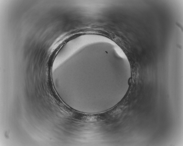 X0000102410295200808291514