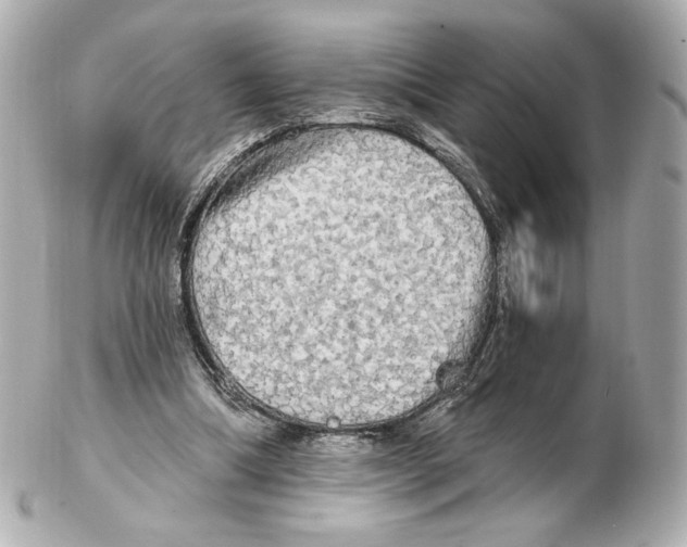 X0000102410298200808291514