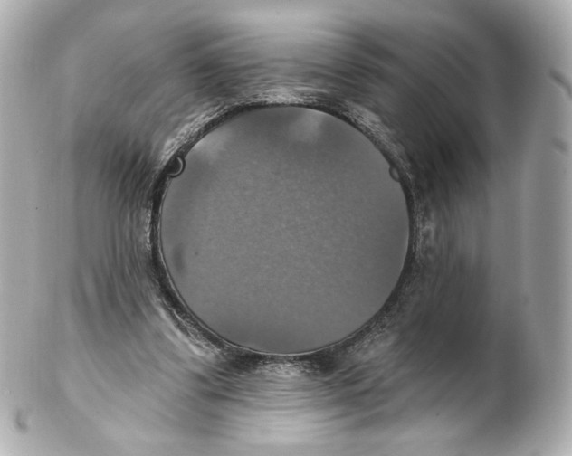 X0000102410299200808291514