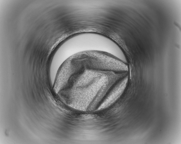 X0000102410300200808291514