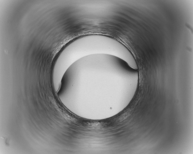 X0000102410301200808291514