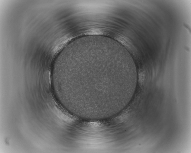 X0000102410302200808291514