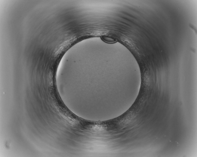 X0000102410303200808291514