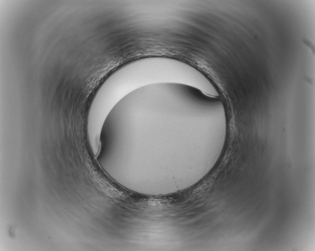 X0000102410305200808291514