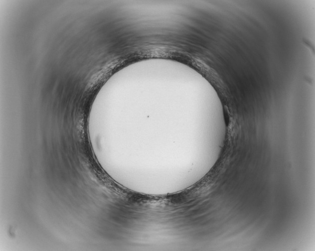 X0000102410306200808291514