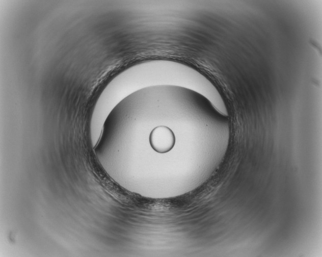 X0000102410308200808291514