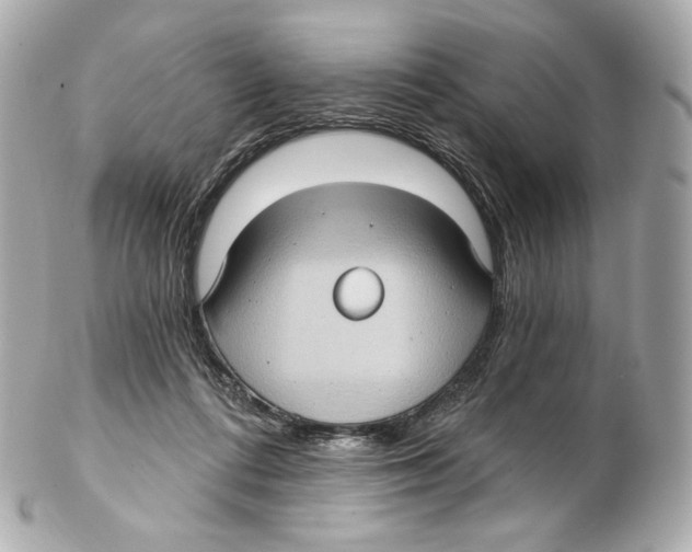 X0000102410312200808291514