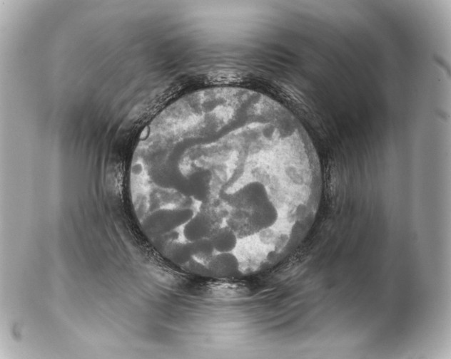 X0000102410315200808291514