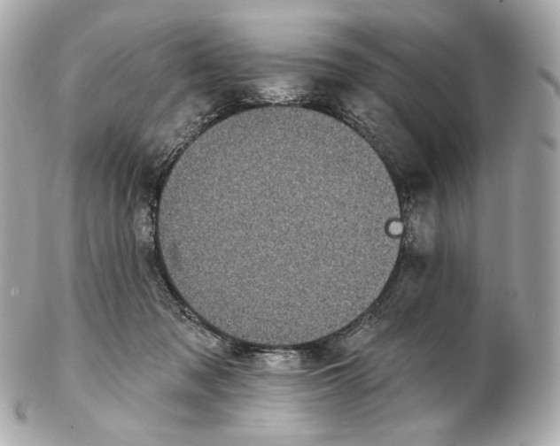 X0000102410317200808291514