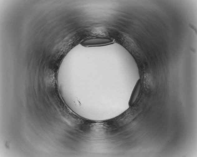 X0000102410320200808291513