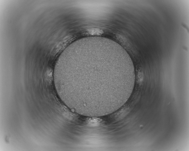 X0000102410321200808291513