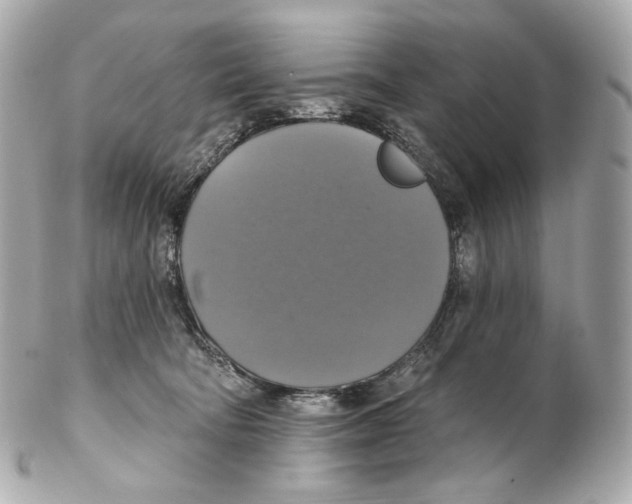 X0000102410322200808291513