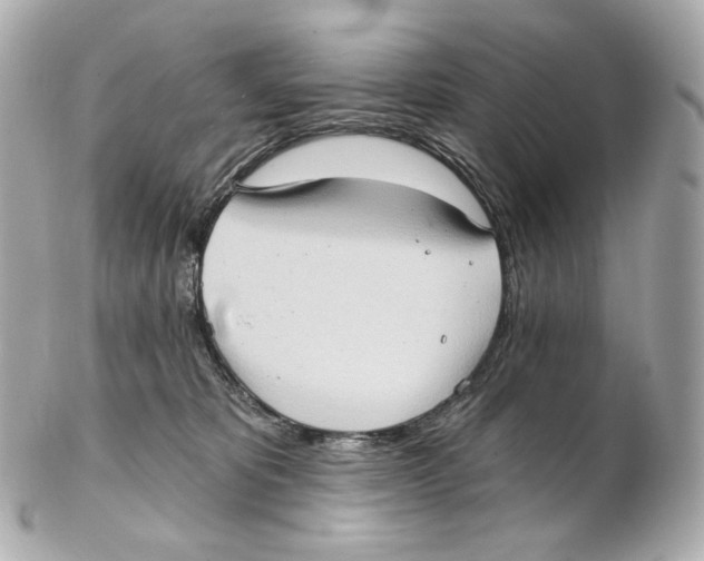 X0000102410325200808291513