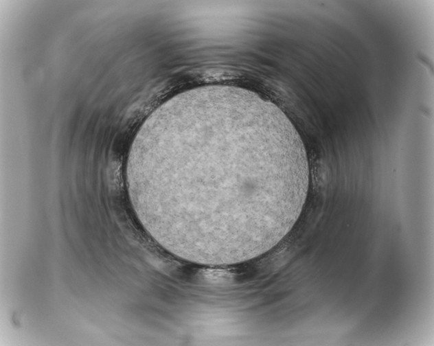 X0000102410327200808291513