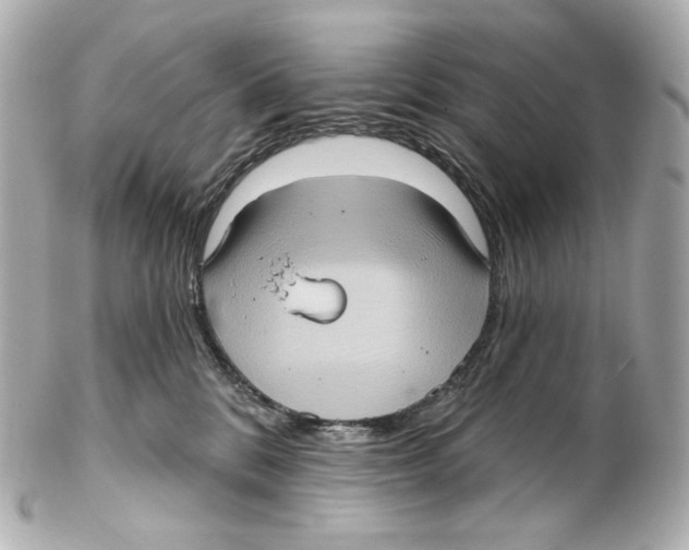 X0000102410328200808291513