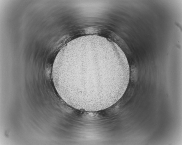 X0000102410329200808291513