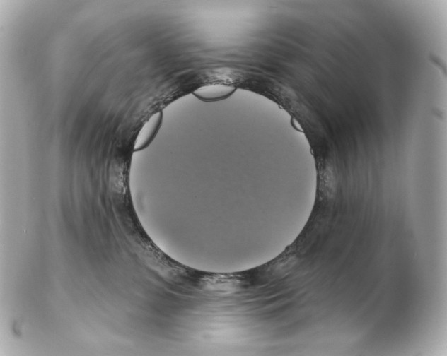 X0000102410331200808291513