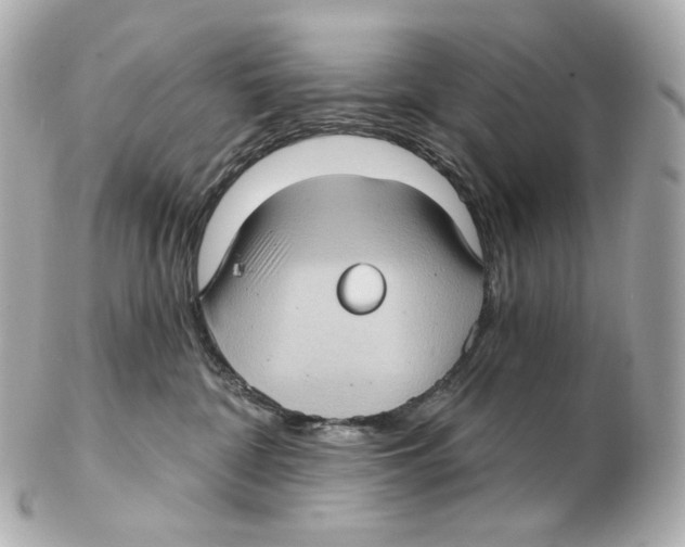 X0000102410332200808291513