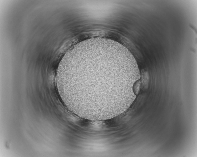 X0000102410333200808291513