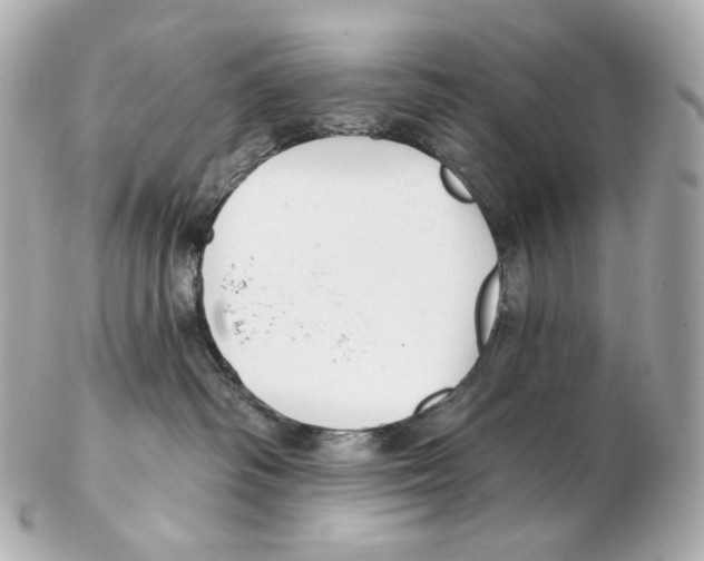 X0000102410334200808291513