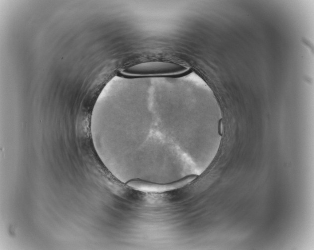 X0000102410336200808291513