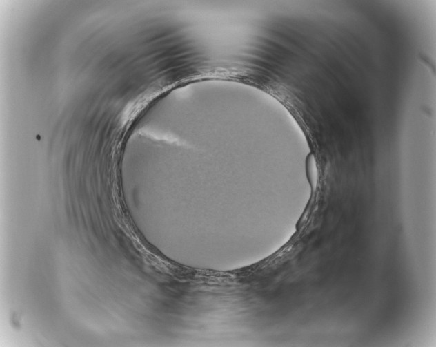 X0000102410337200808291512