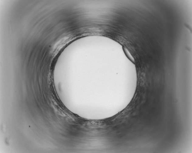 X0000102410338200808291513