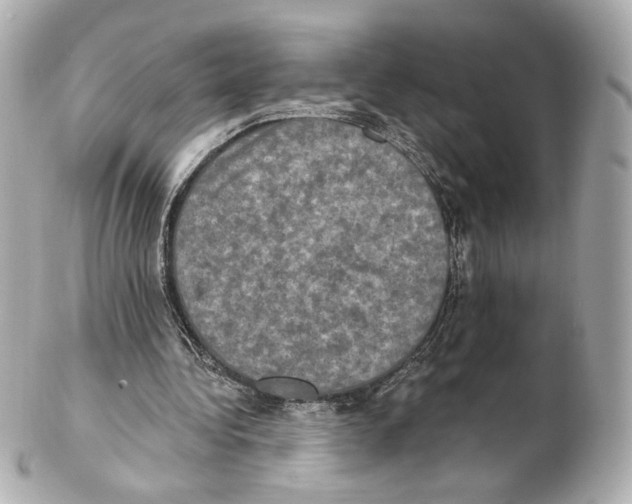 X0000102410340200808291513