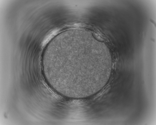 X0000102410341200808291513