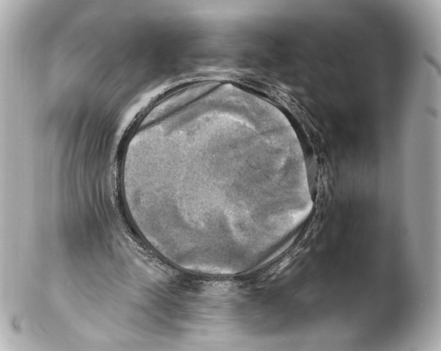 X0000102410342200808291513