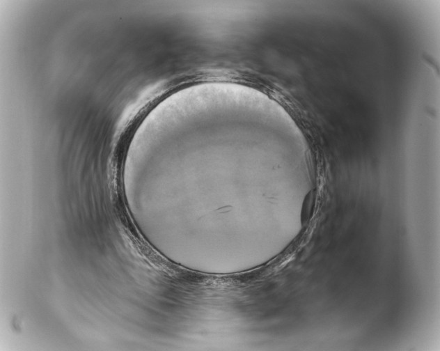 X0000102410343200808291513