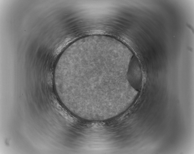 X0000102410345200808291513